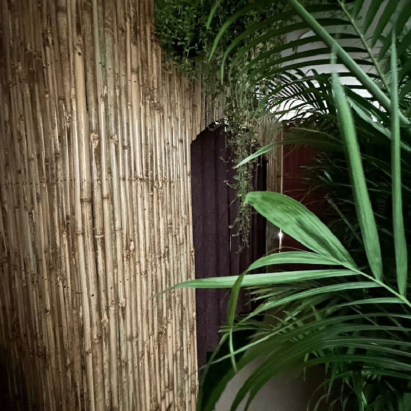 Sukoon Therapies Interior 1